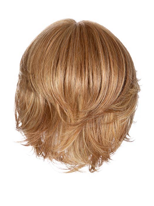 Flash Forward by Raquel Welch - Regal Wigs