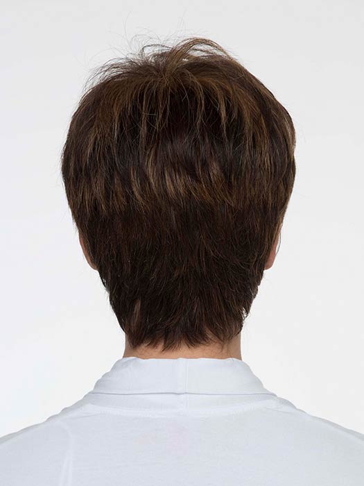 Destiny by Envy - Regal Wigs