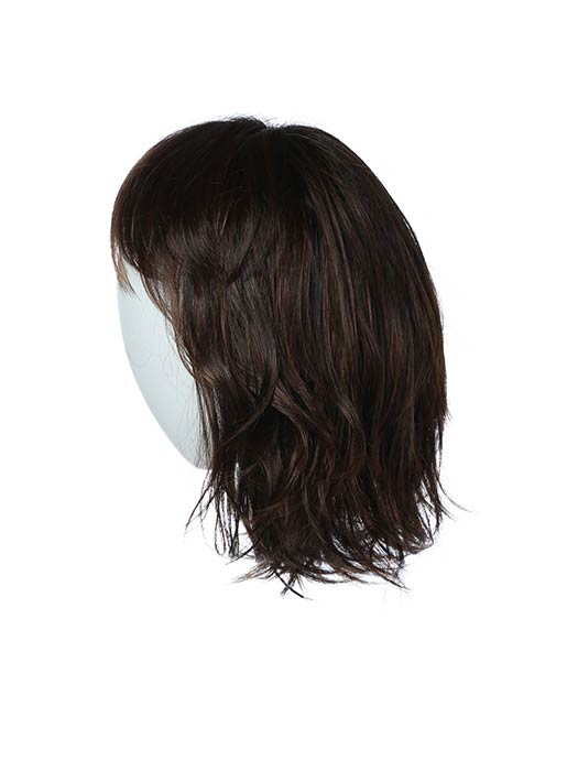 Stop Traffic by Raquel Welch - Regal Wigs